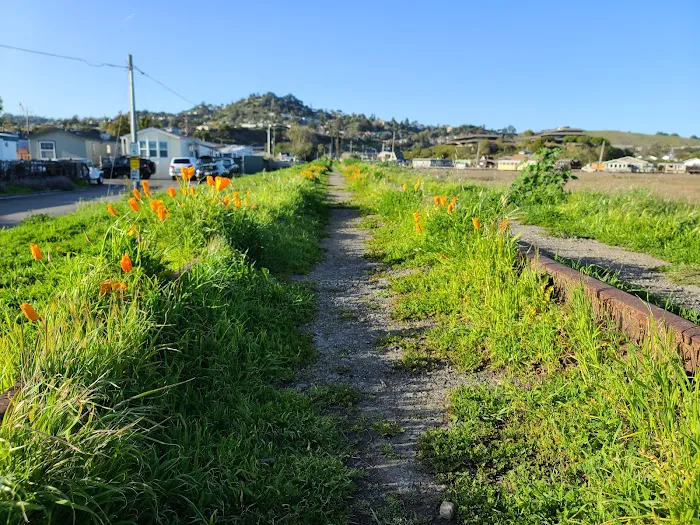 Marin RV Park Picture 7
