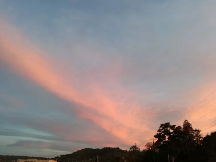 Golden Gate Trailer Park Picture 6