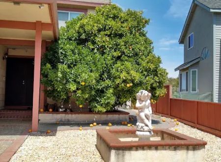 Carquinez Highlands Mobile Home Park