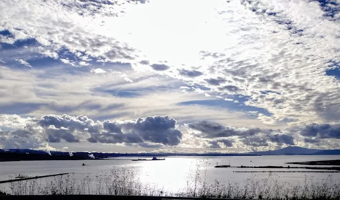 Carquinez Highlands Mobile Home Park Picture 3