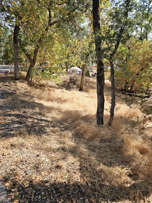 Peninsula Campground Picture 6