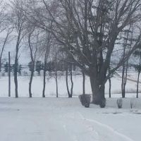 Hillside Pointe ico