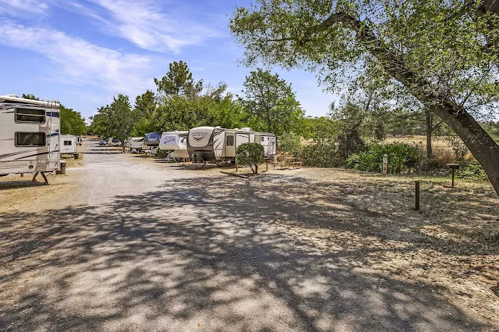 Placerville RV Resort & Campground Picture 5