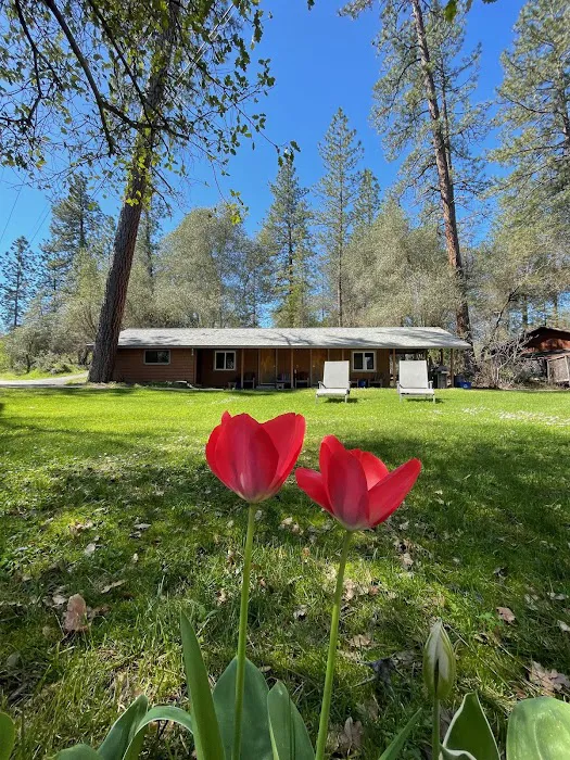 Camp Lotus Picture 2