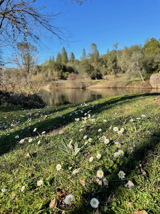 Camp Lotus Picture 8