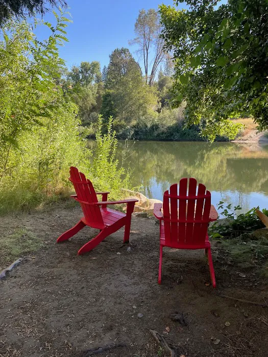 Camp Lotus Picture 9