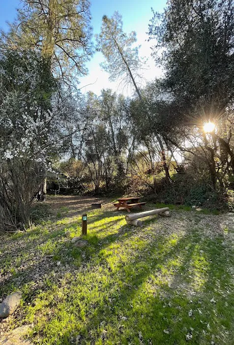 Camp Lotus Picture 10