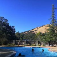 American River Resort ico