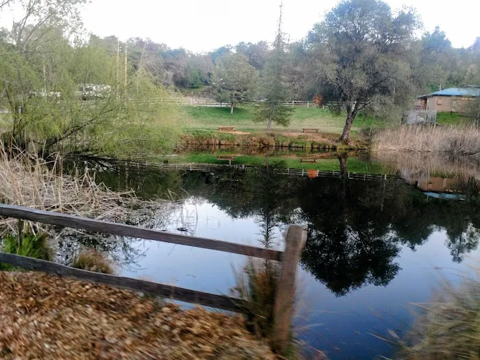 American River Resort Picture 9