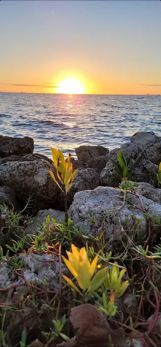 Elliott Key Campgrounds Picture 10
