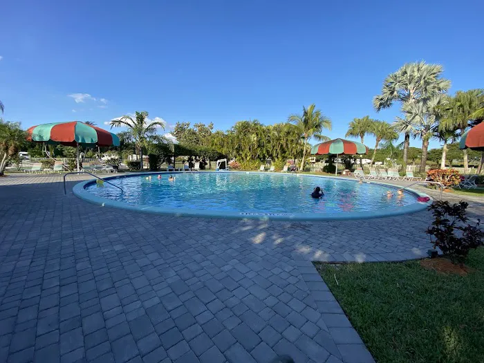 Encore Miami Everglades Picture 2