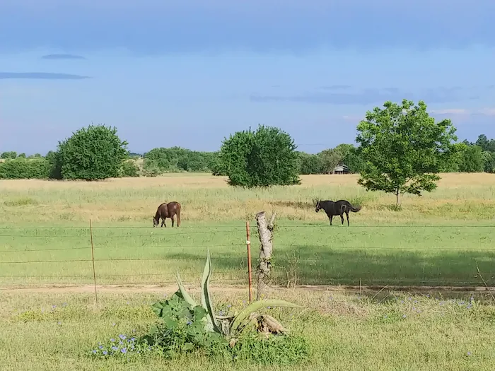 Briar Flats RV Resort and Stables Picture 5