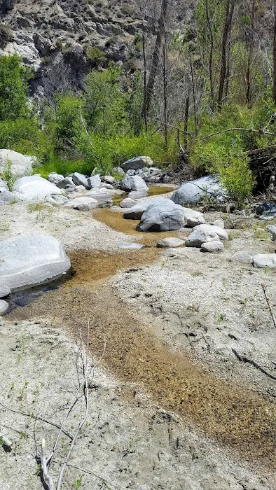 Fall Creek Trail Camp Picture 3