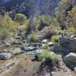 Fall Creek Trail Camp