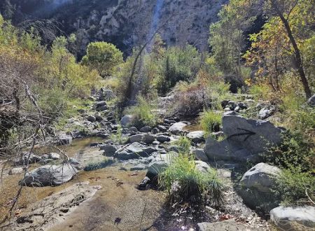 Fall Creek Trail Camp
