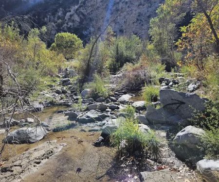 Fall Creek Trail Camp