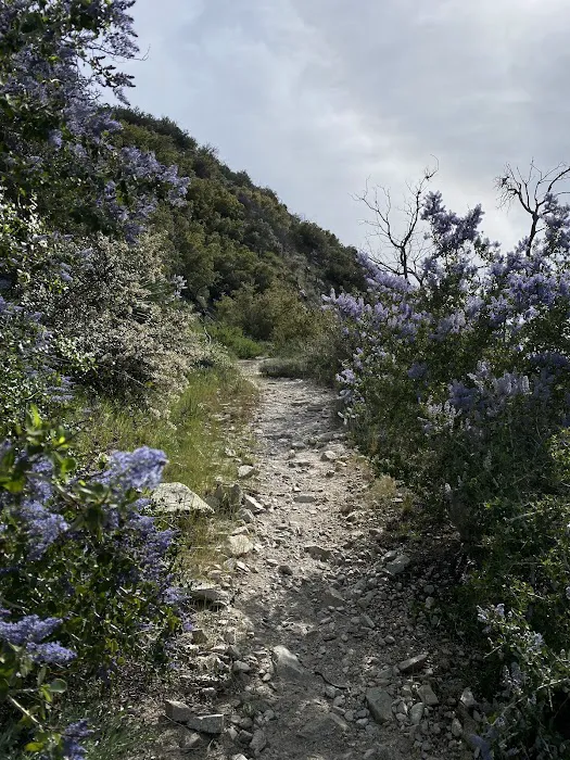 Fall Creek Trail Camp Picture 7