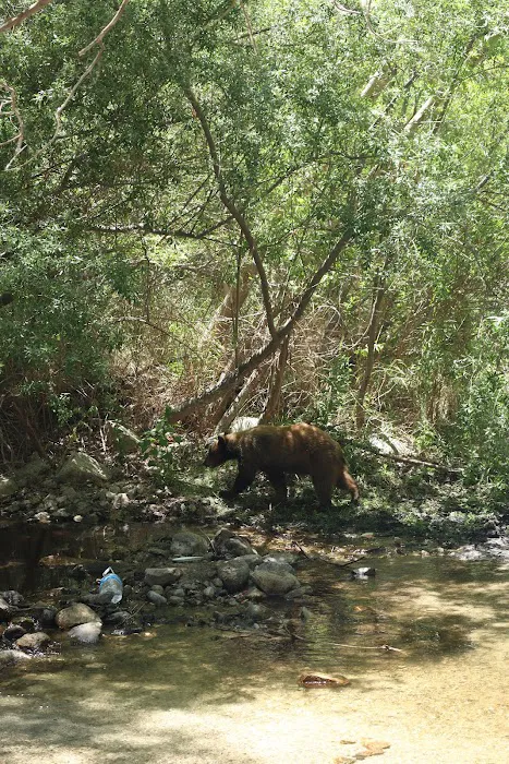 Rancho Ybarra Picture 9