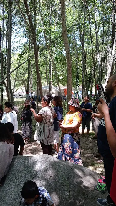 Rancho Ybarra Picture 10