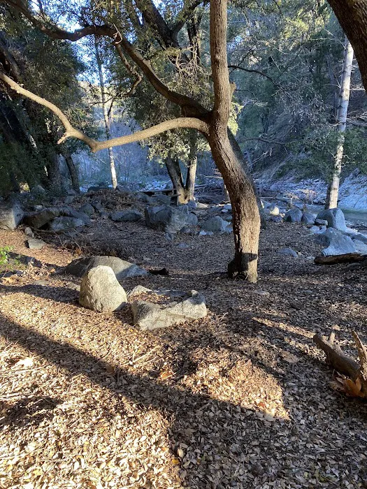 West Fork Campground Picture 3