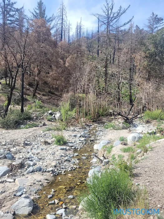 West Fork Campground Picture 6