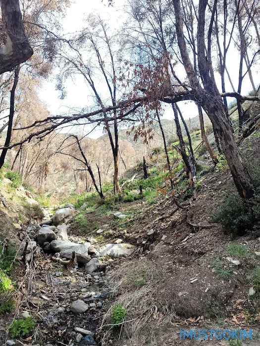 West Fork Campground Picture 7