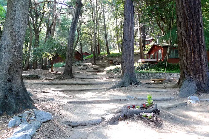 Sturtevant Camp Picture 6