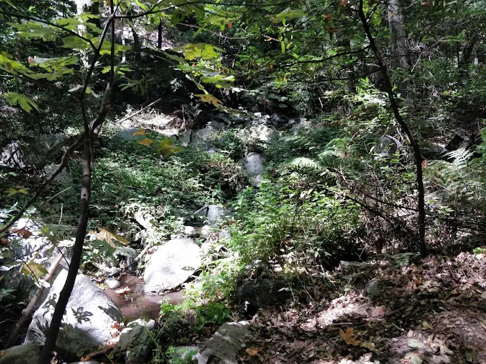 Spruce Grove Trail Camp Picture 2
