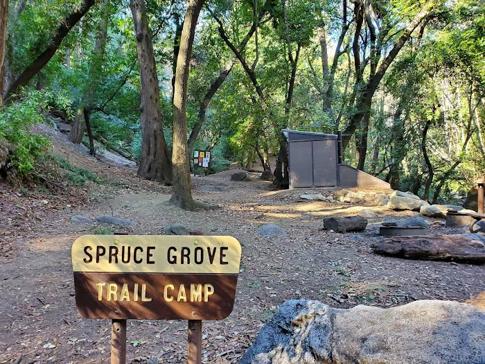 Spruce Grove Trail Camp Picture 3