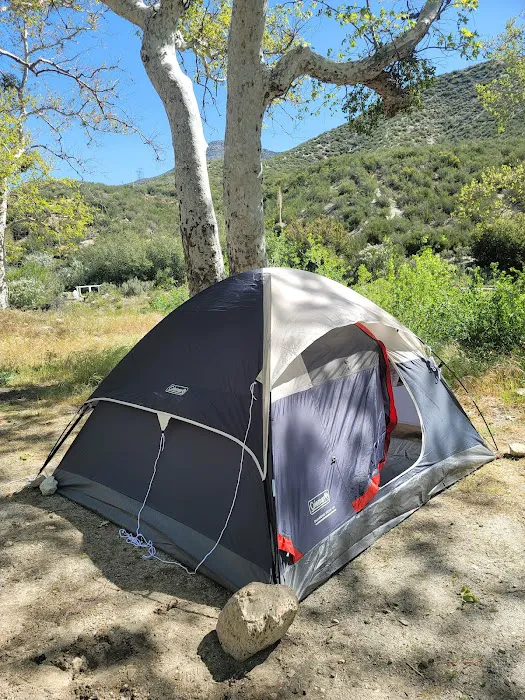 Monte Cristo Campground Picture 5