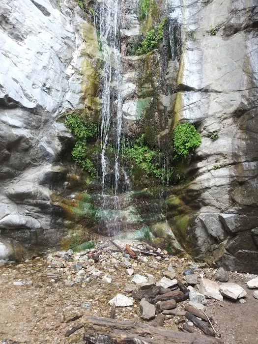 Monte Cristo Campground Picture 9