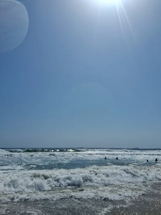 Bolsa Chica Campground Picture 2