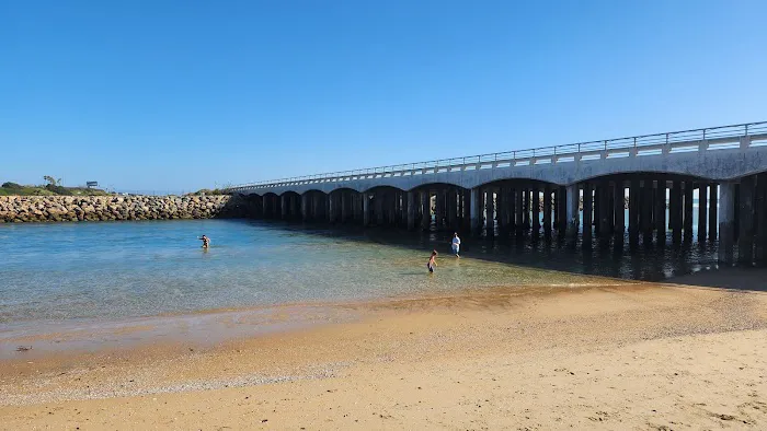 Bolsa Chica Campground Picture 8
