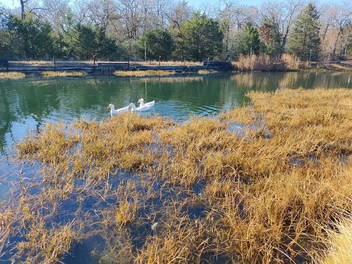 Cosmic Duck RV Park Picture 8