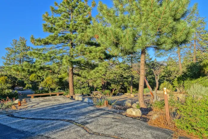 Coulter Group Campground Picture 8