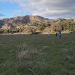 Malibu Creek SP Group Camp