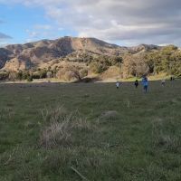 Malibu Creek SP Group Camp ico