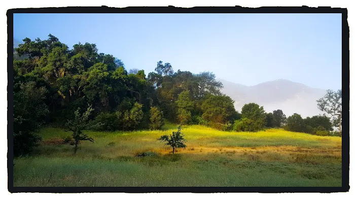 Malibu Creek SP Group Camp Picture 4