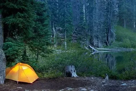 Tips for Camping in Wildlife Habitats