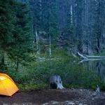Tips for Camping in Wildlife Habitats