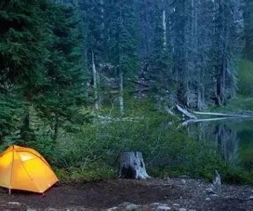 Tips for Camping in Wildlife Habitats