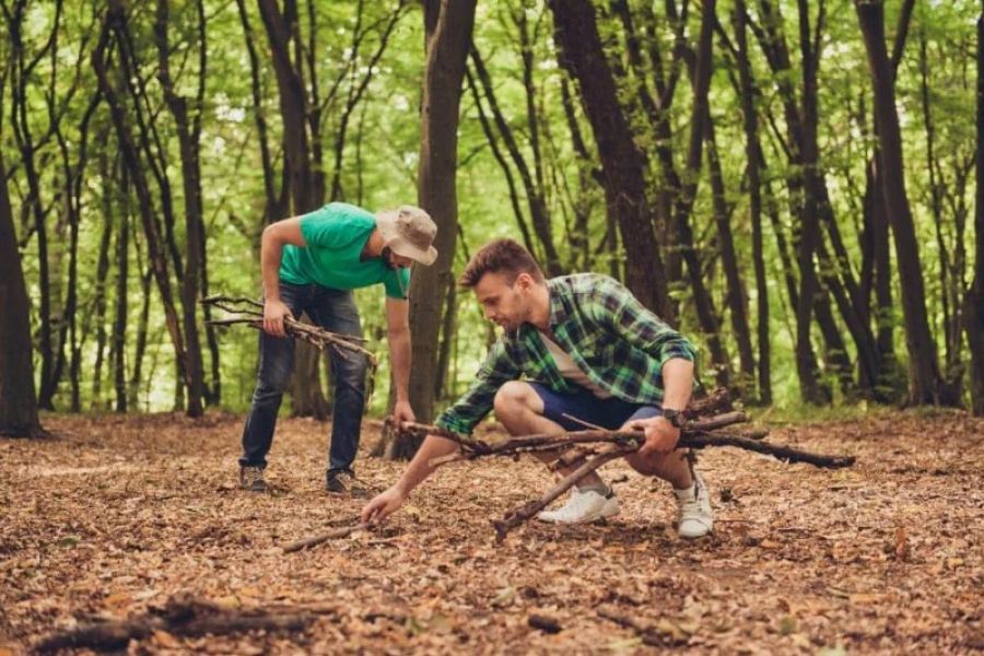 Campfire Firewood: How to Collect and Store It Legally for Your Next Adventure