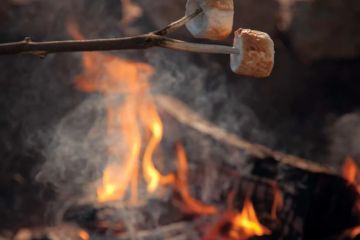 Easy and Delicious Snacks and Desserts to Cook Over a Campfire