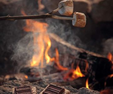 Easy and Delicious Snacks and Desserts to Cook Over a Campfire