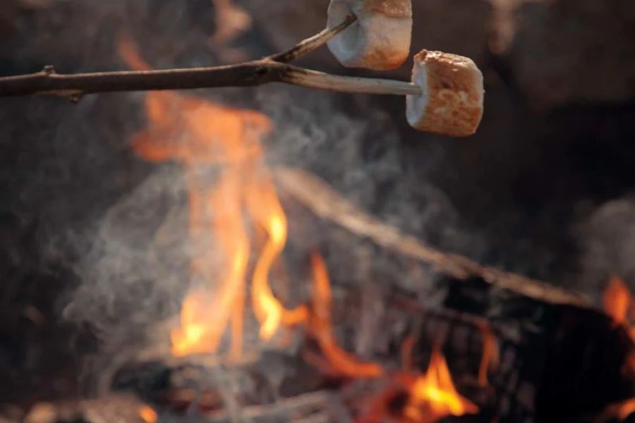 Easy and Delicious Snacks and Desserts to Cook Over a Campfire