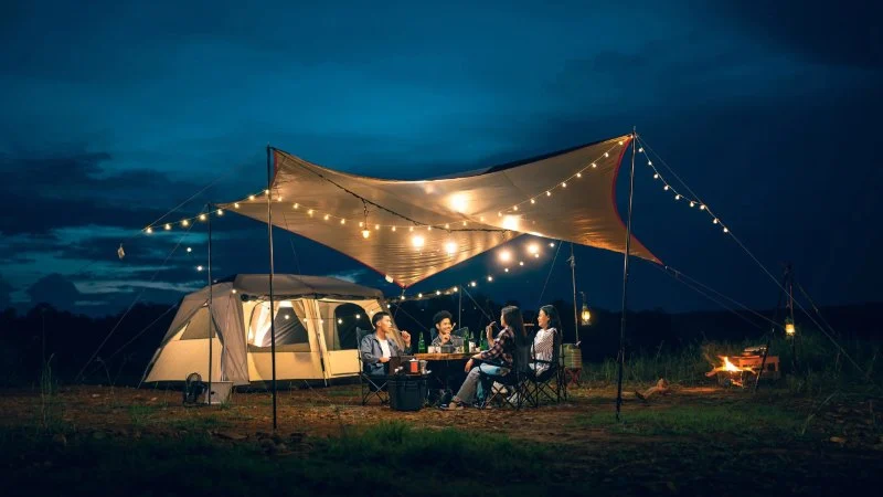 How to Use Natural Materials for Camping Comfort: Expert Tips