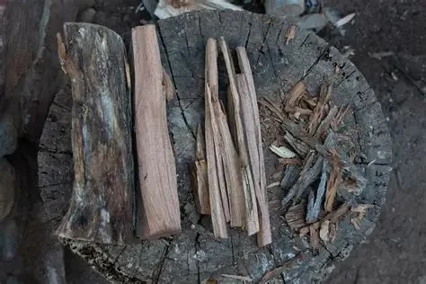 Best Wood Types for a Long-Lasting Campfire