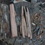 Best Wood Types for a Long-Lasting Campfire