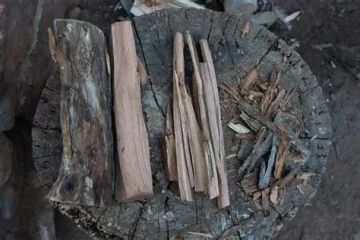 Best Wood Types for a Long-Lasting Campfire