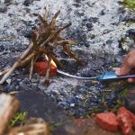 How to Build a Campfire in a Windy Location: Expert Tips and Tricks